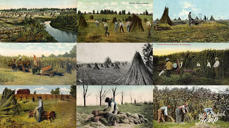 Kentucky Postcards