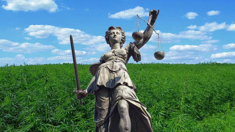 Hemp Legislation