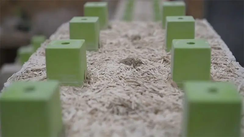 Hempcrete Blocks