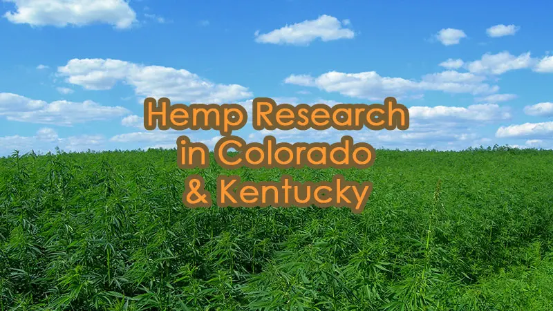Hemp research in Colorado and Kentucky
