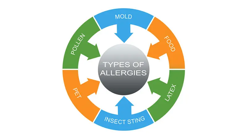 Types of Allergies