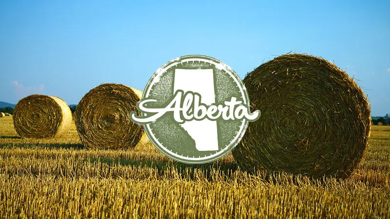 Alberta Bound