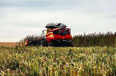 Harvesting