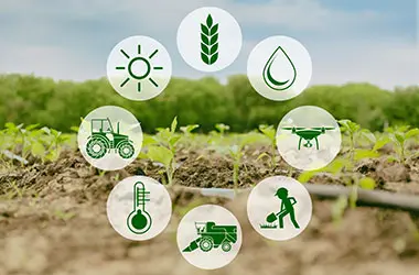 Crop Management